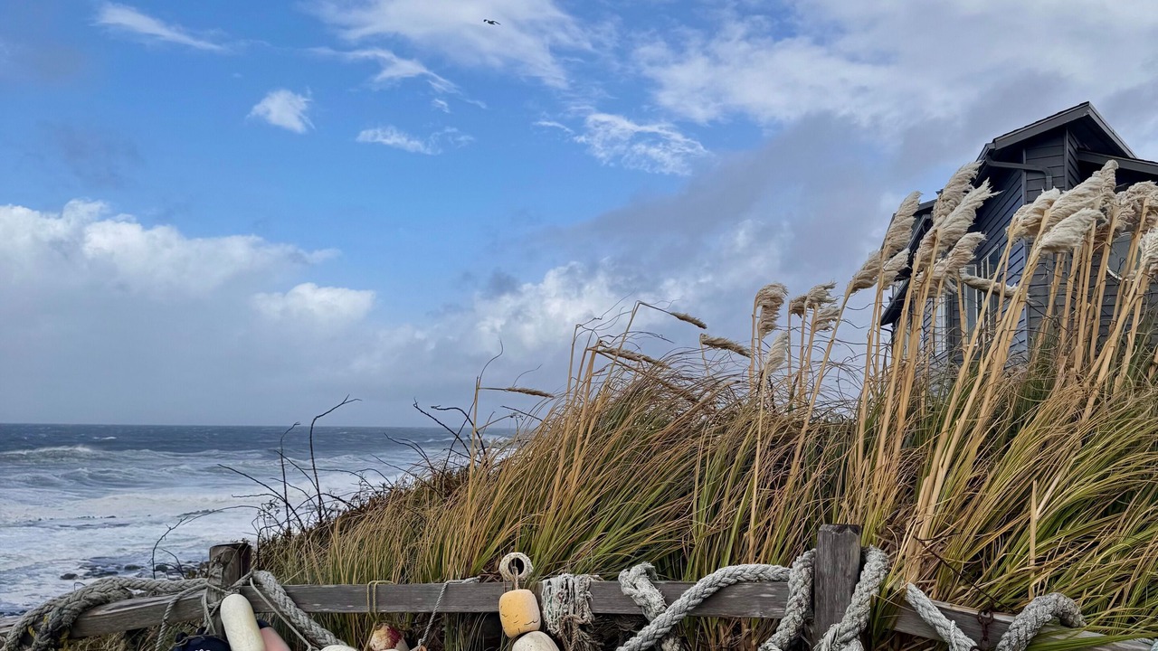 Photo of Others in Yachats