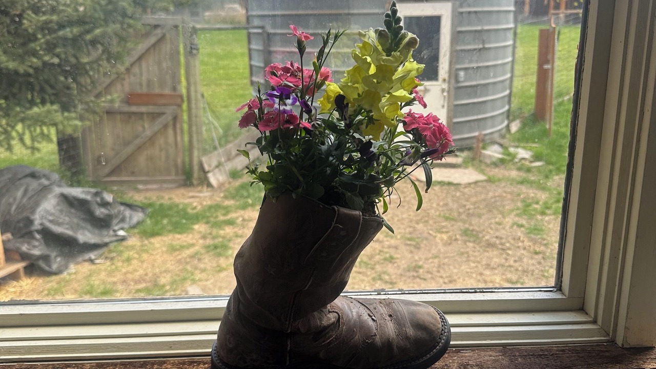 Photo of Others in Hot Springs