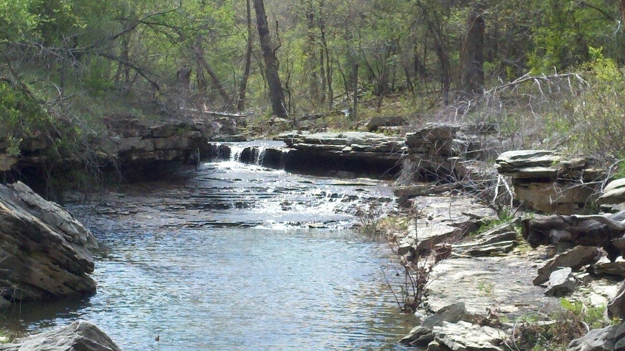 Photo of Others in Cedarcreek