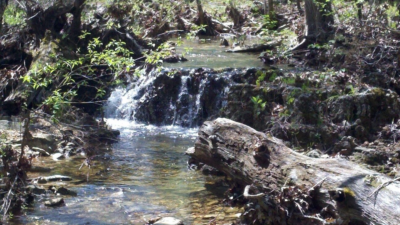 Photo of Others in Cedarcreek