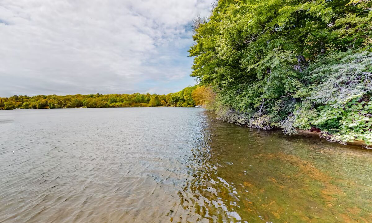 Photo of Others in Mashpee