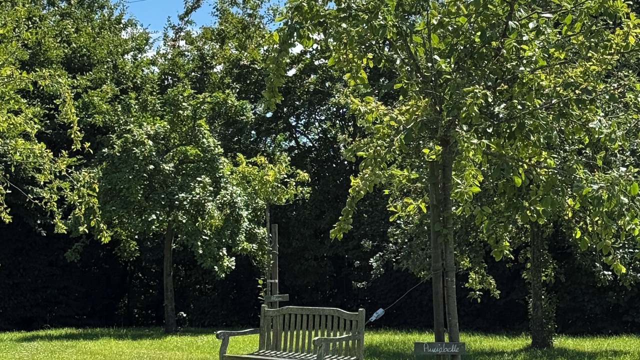 Photo of Outdoor in Bonneville-la-Louvet