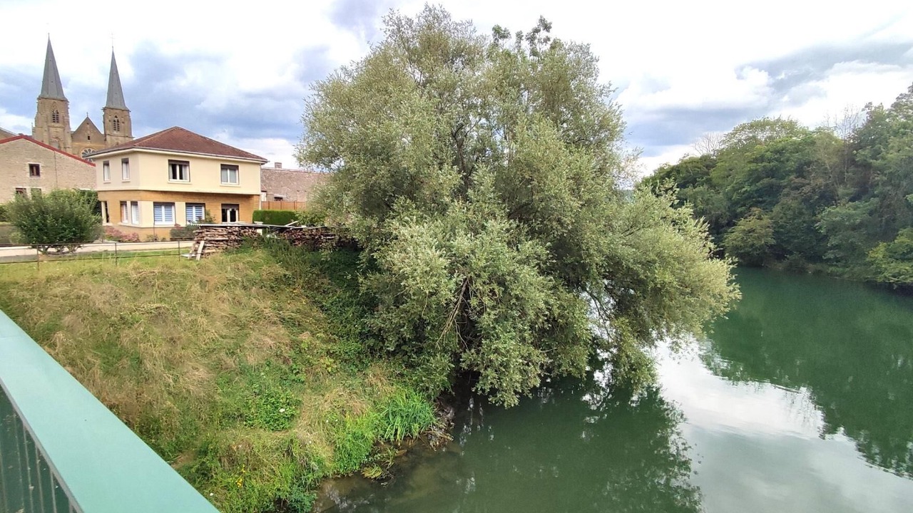 Photo of Outdoor in Mouzon