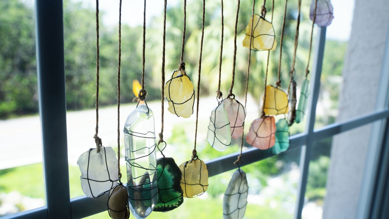 Photo of Others in Palmetto