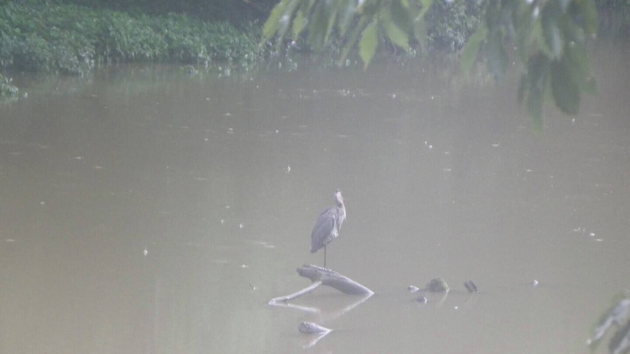 Photo of Others in Grove City