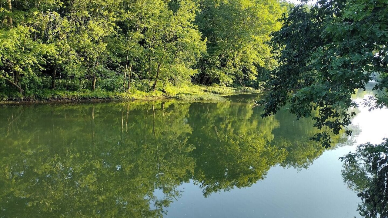 Photo of Others in Grove City