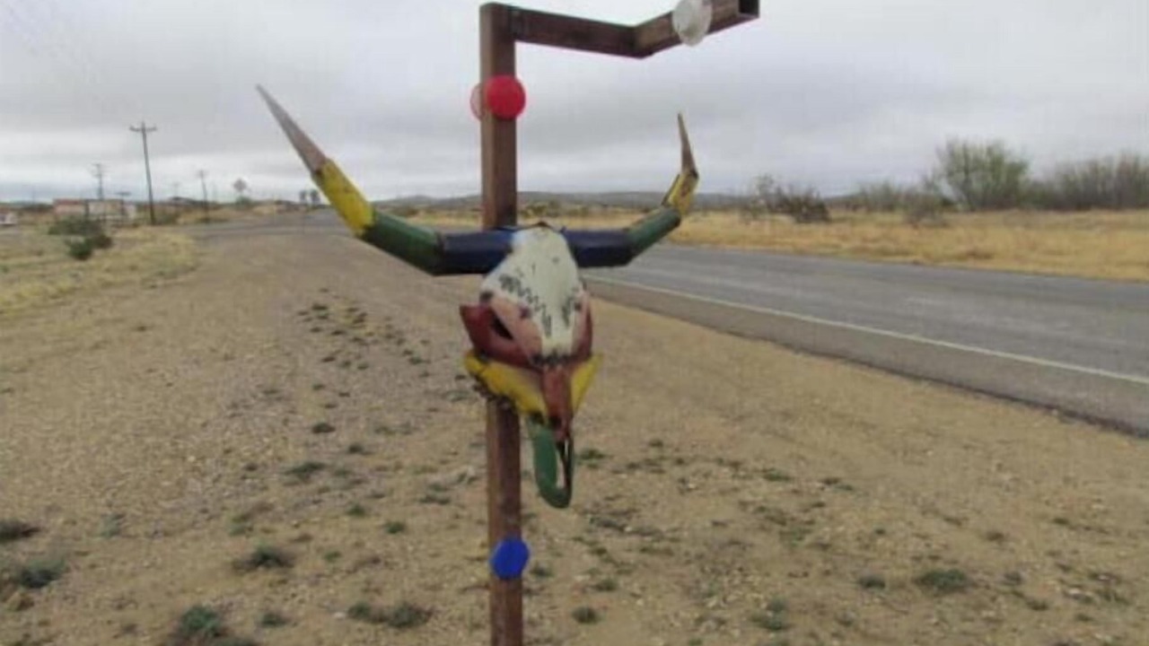 Photo of Others in Study Butte-Terlingua
