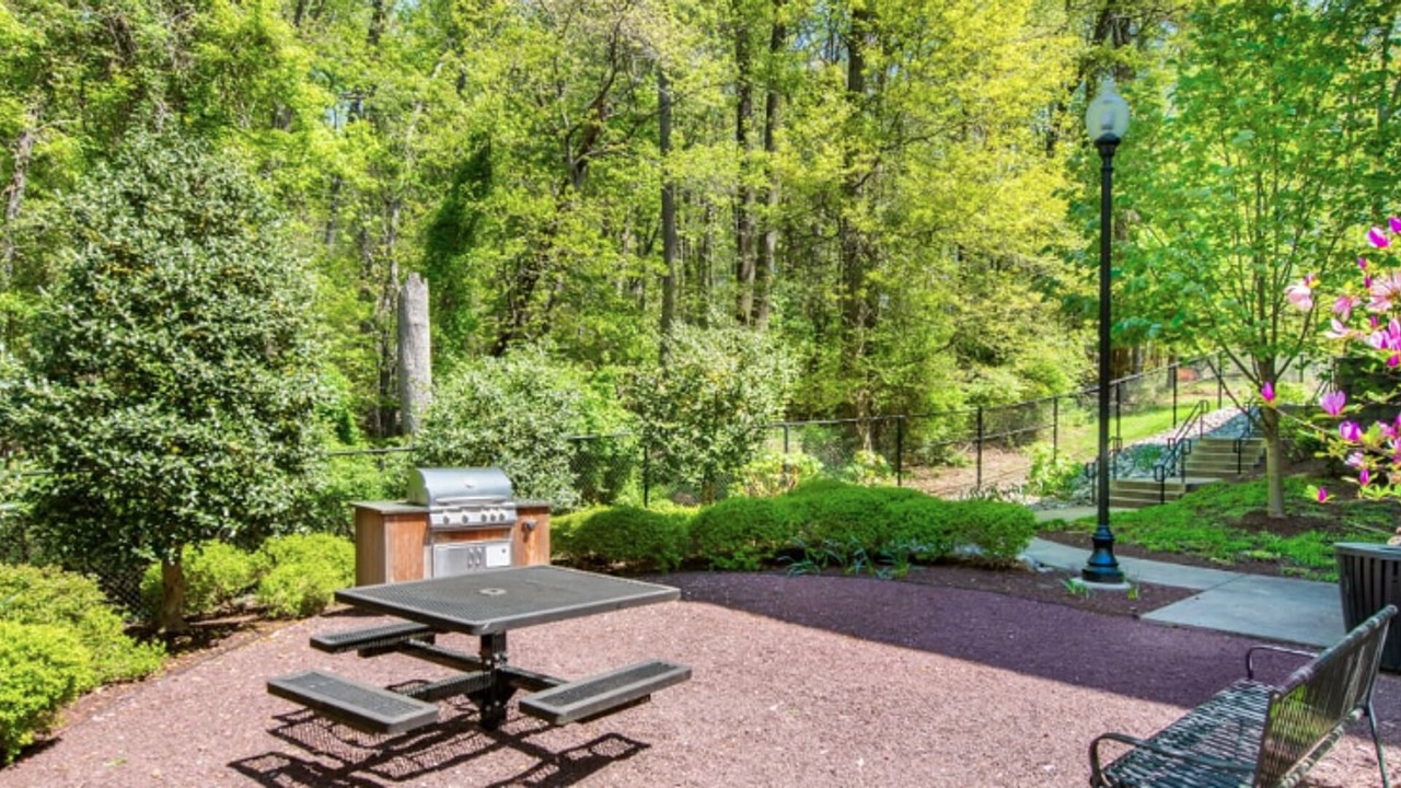 Photo of Outdoor in Chillum