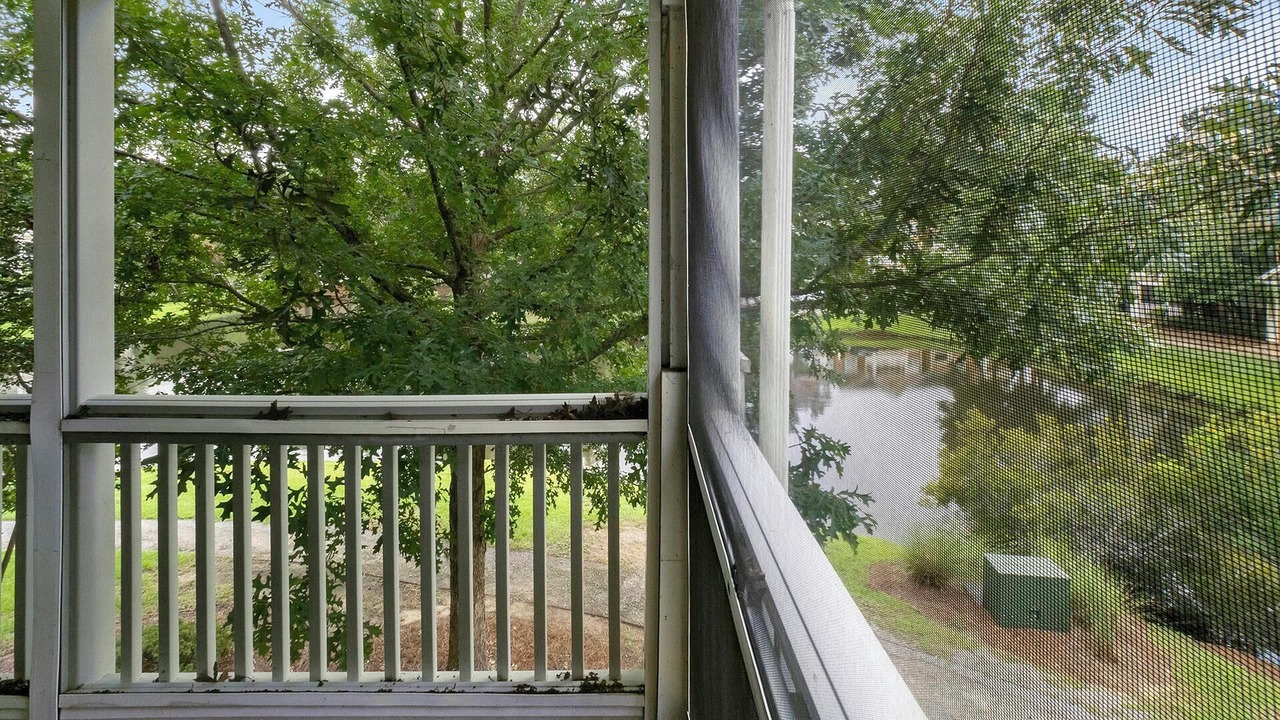 Photo of Outdoor in Summerville