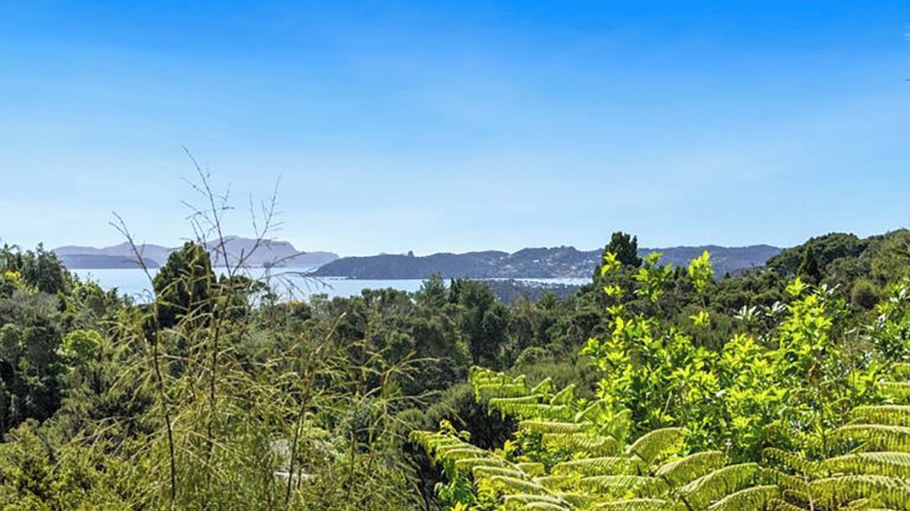 Photo of Others in Opua