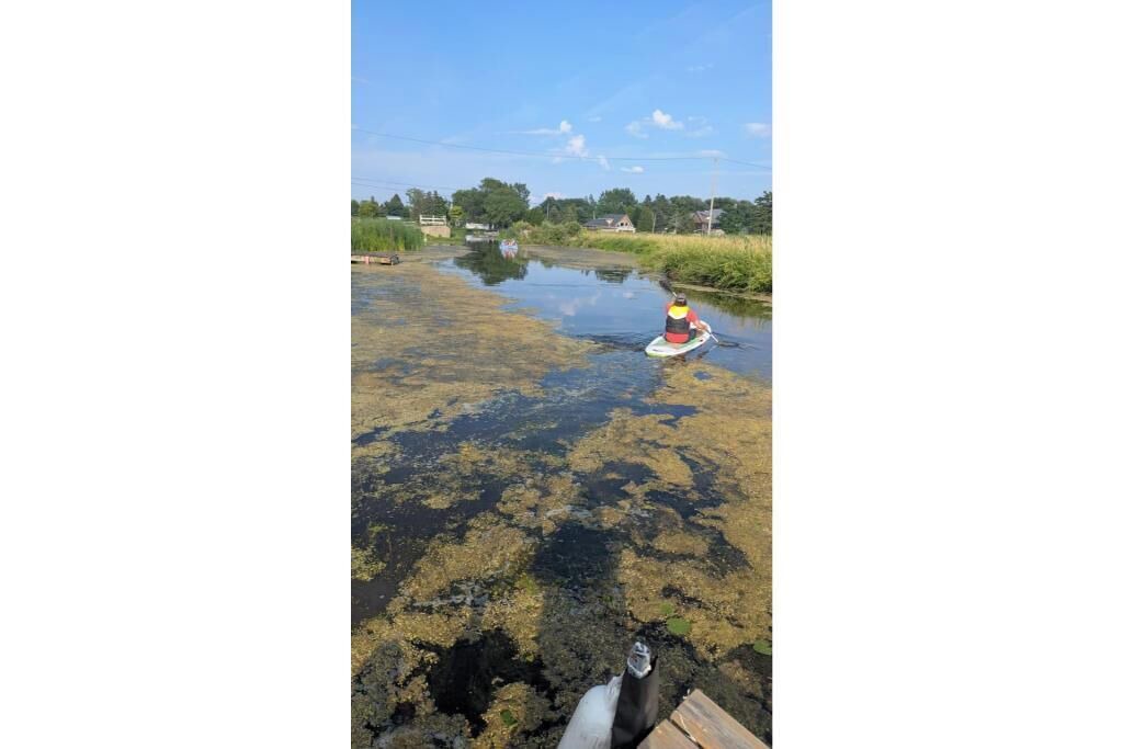 Photo of Others in South Glengarry