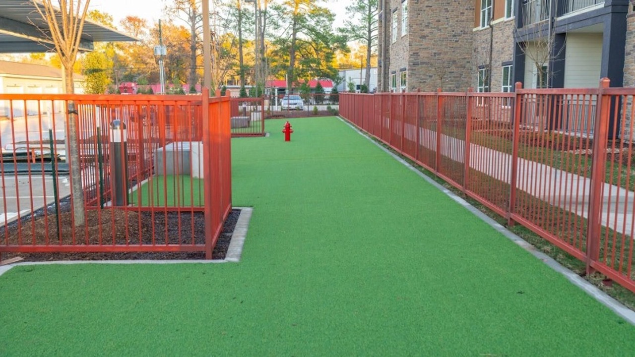 Photo of Outdoor in Conroe