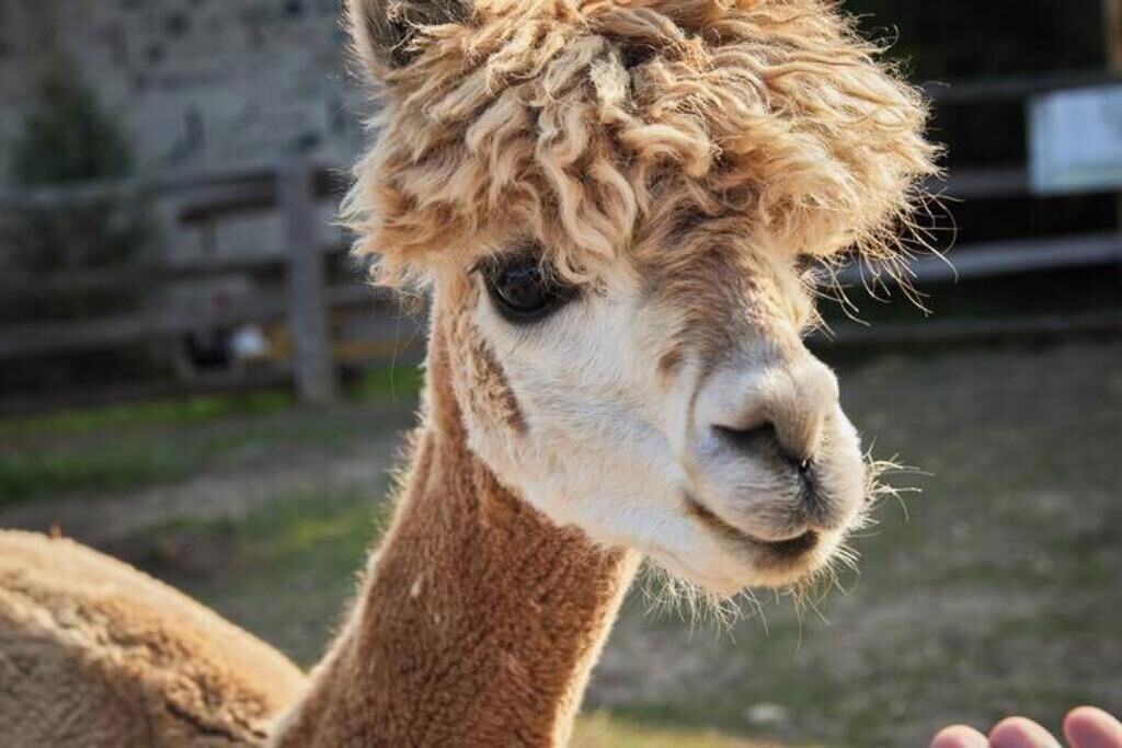Photo of Others in Elora