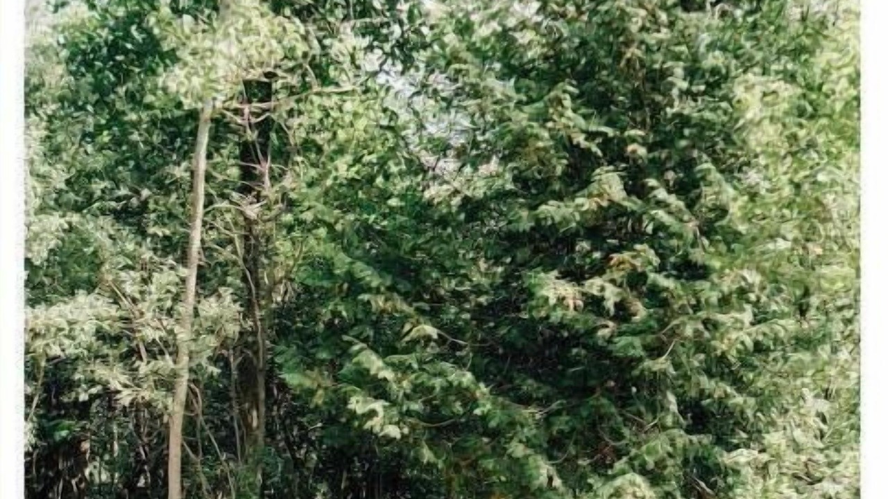 Photo of Others in Elora