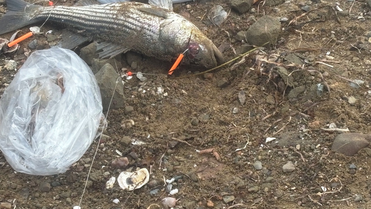 Photo of Others in Gloucester County