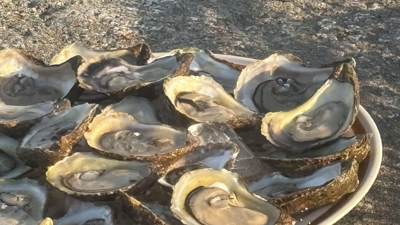 Photo of Others in Gloucester County