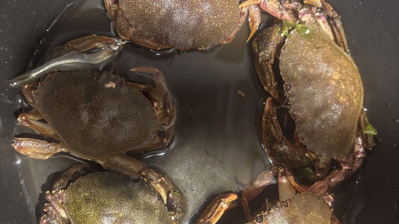Photo of Others in Gloucester County