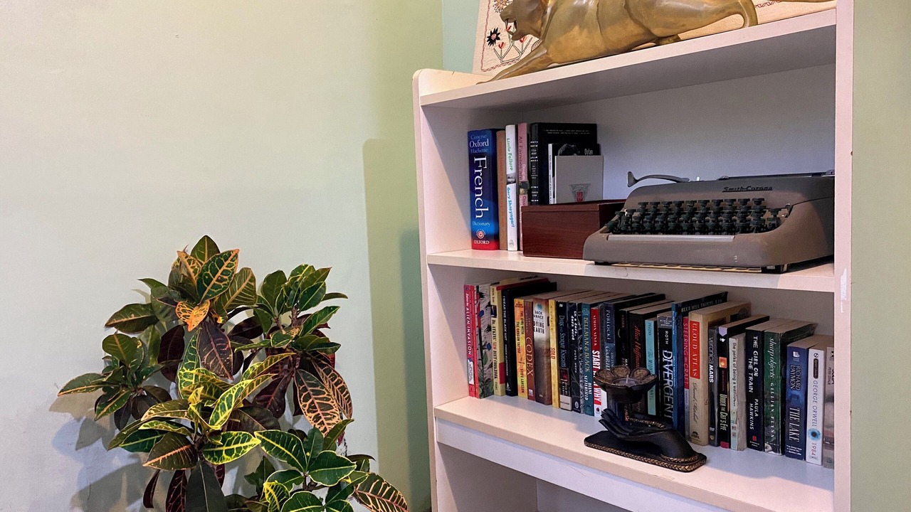 Photo of Others in Oyster Bay Cove