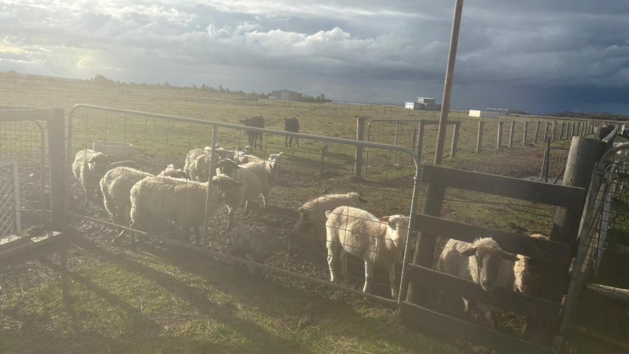 Photo of Others in Grantville