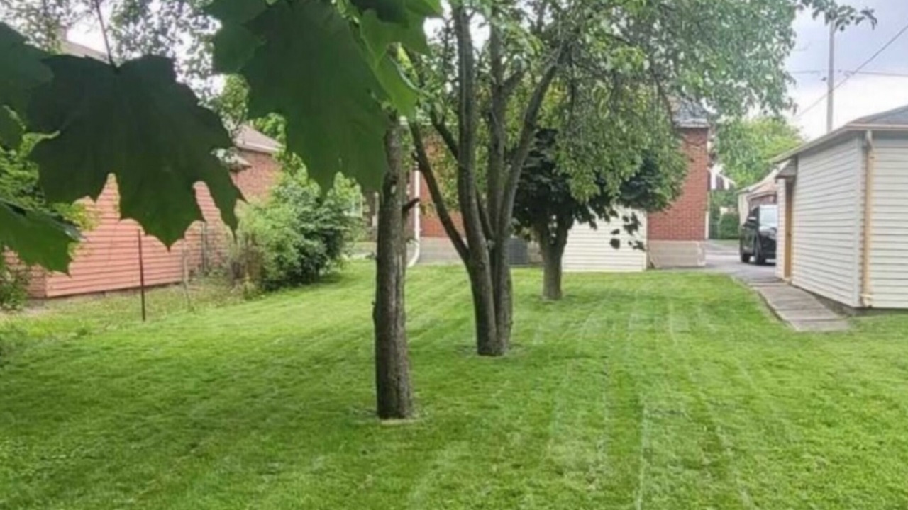 Photo of Outdoor in Oshawa