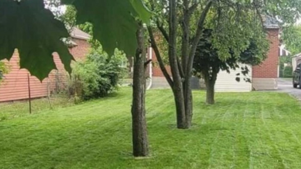Photo of Outdoor in Oshawa