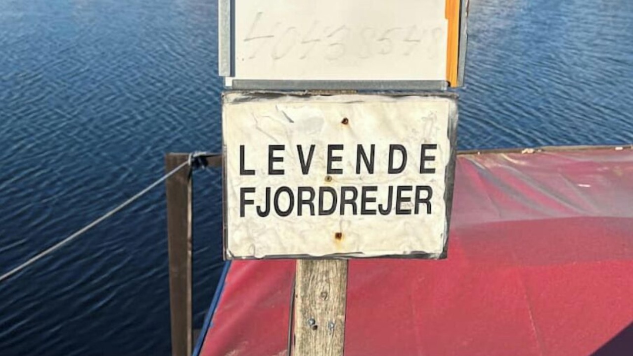 Photo of Others in Hundested