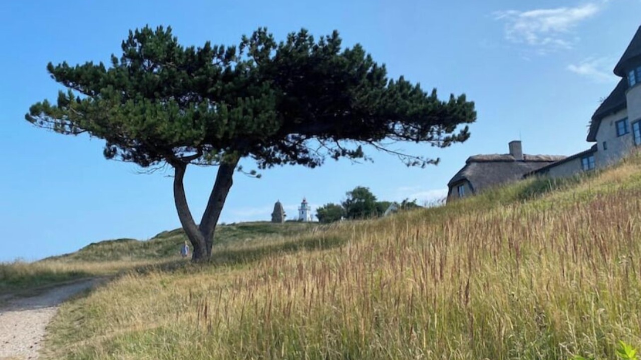 Photo of Outdoor in Hundested