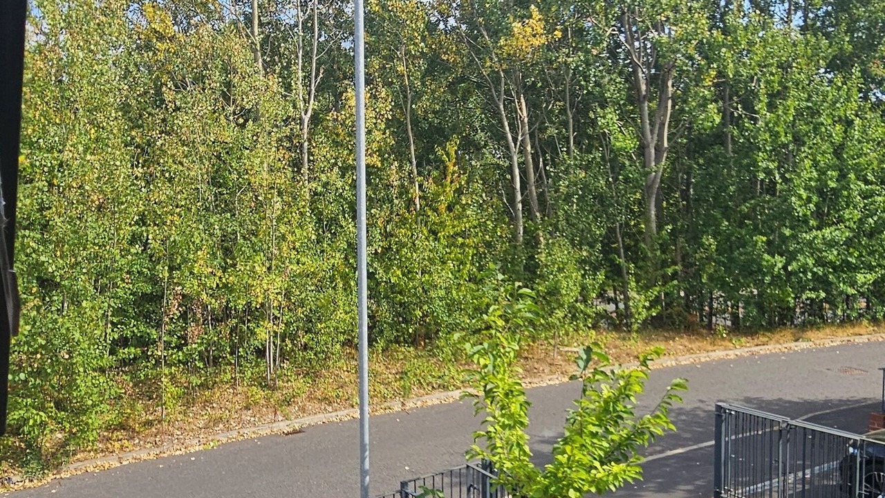 Photo of Outdoor in Belle Vue