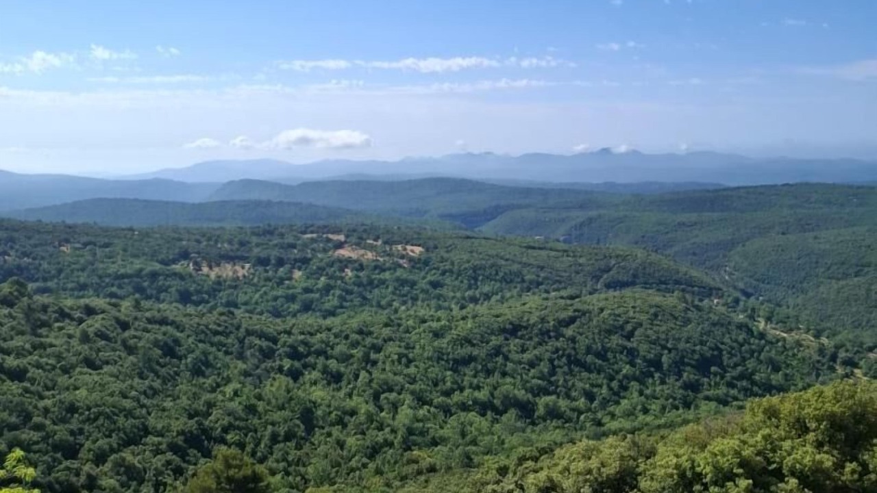 Photo of Others in Village