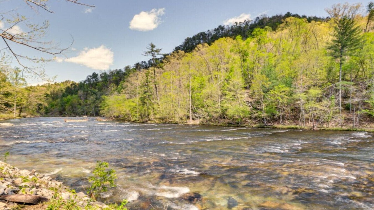 Photo of Others in Tellico Plains
