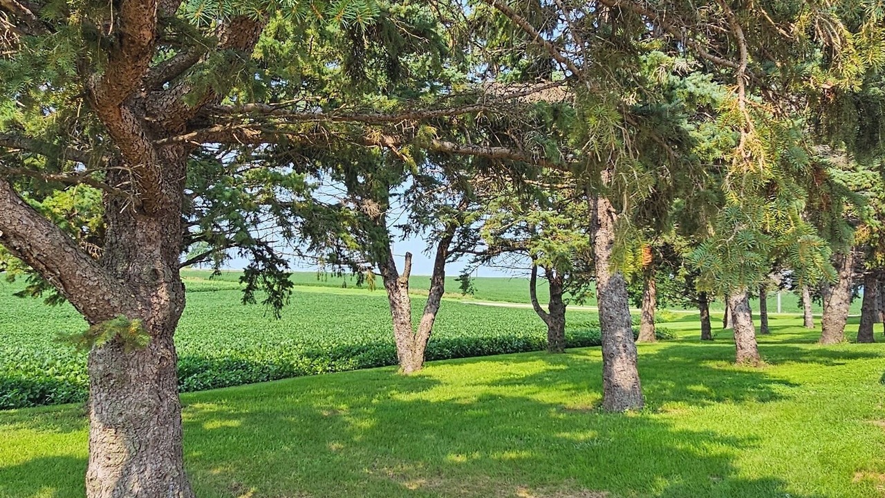 Photo of Others in Killduff