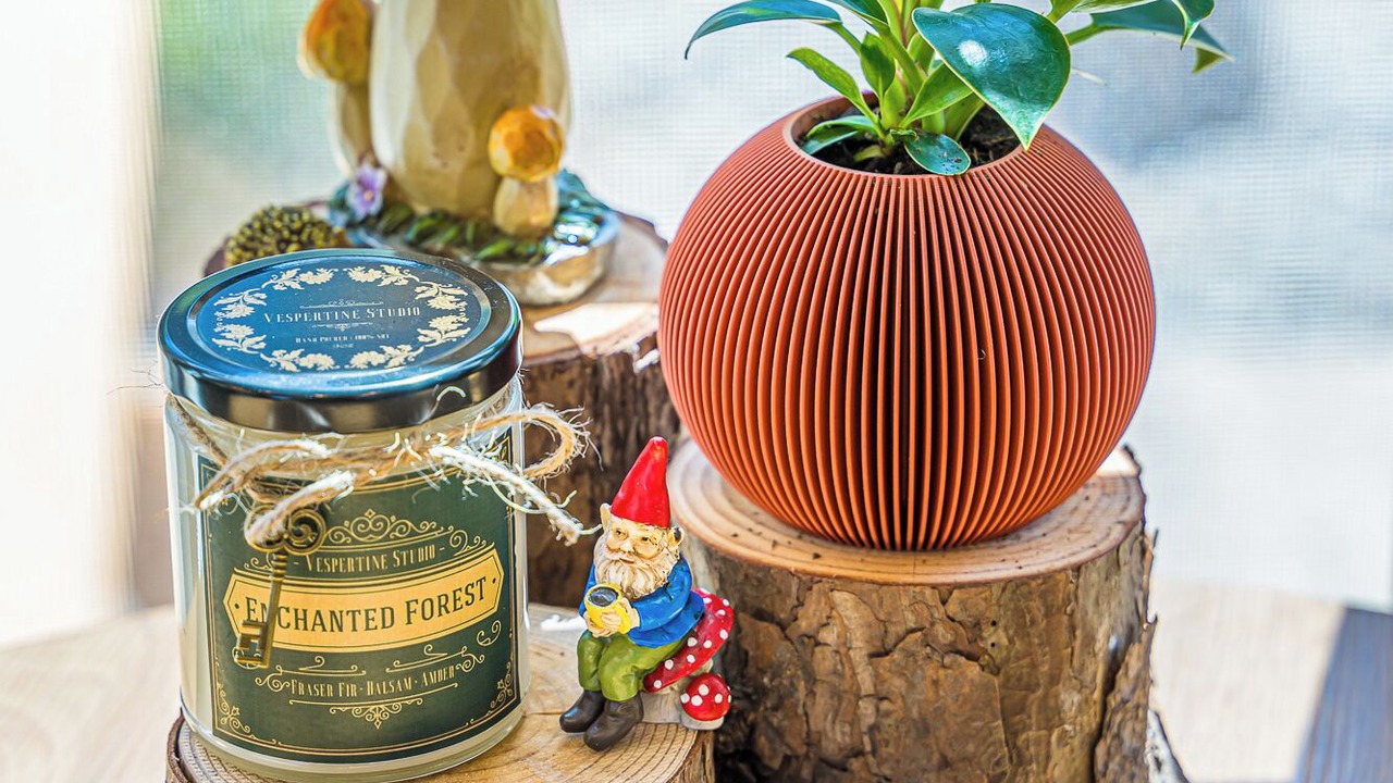 Photo of Others in Forks