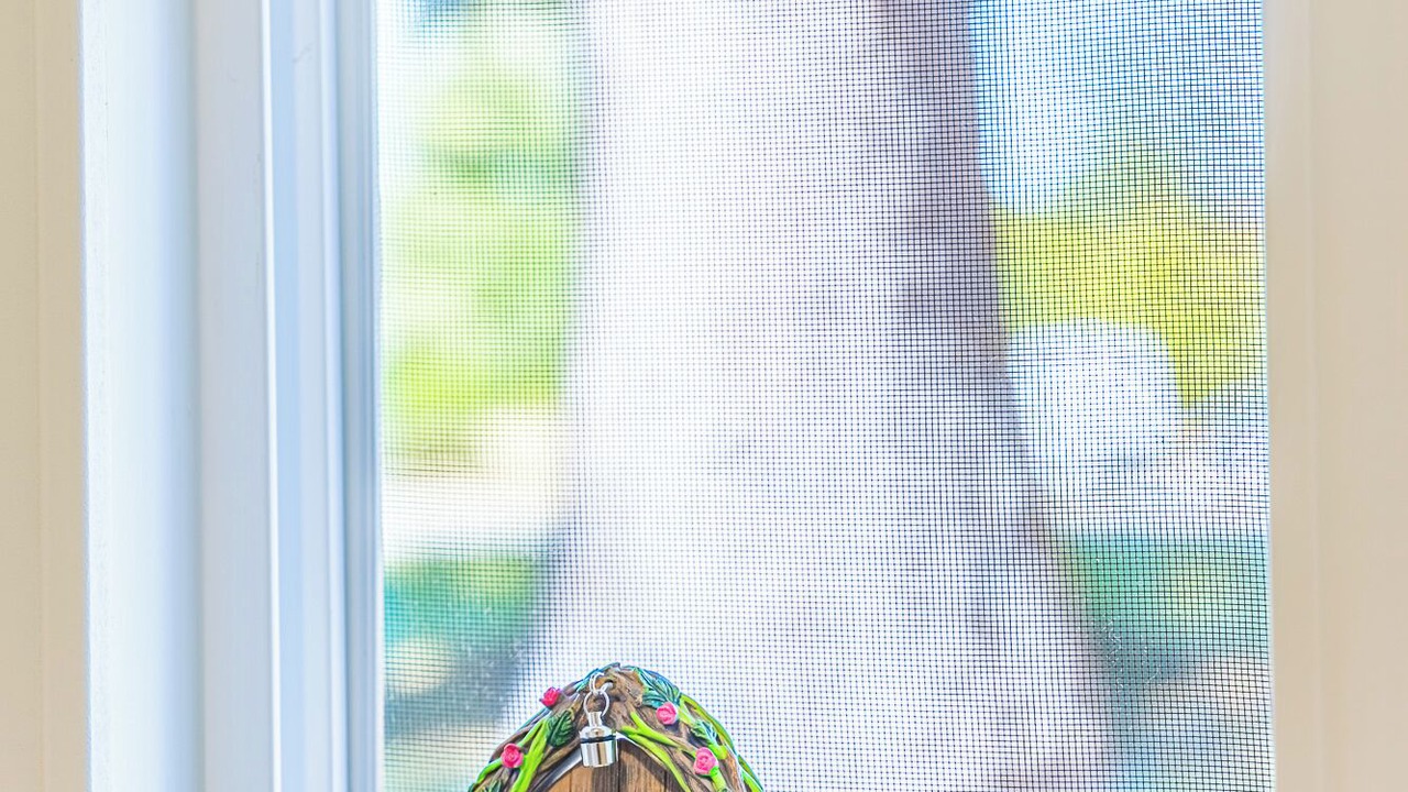 Photo of Others in Forks