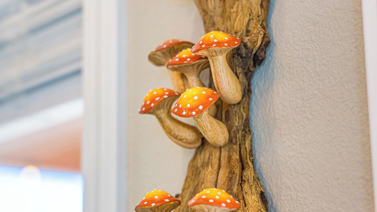 Photo of Others in Forks