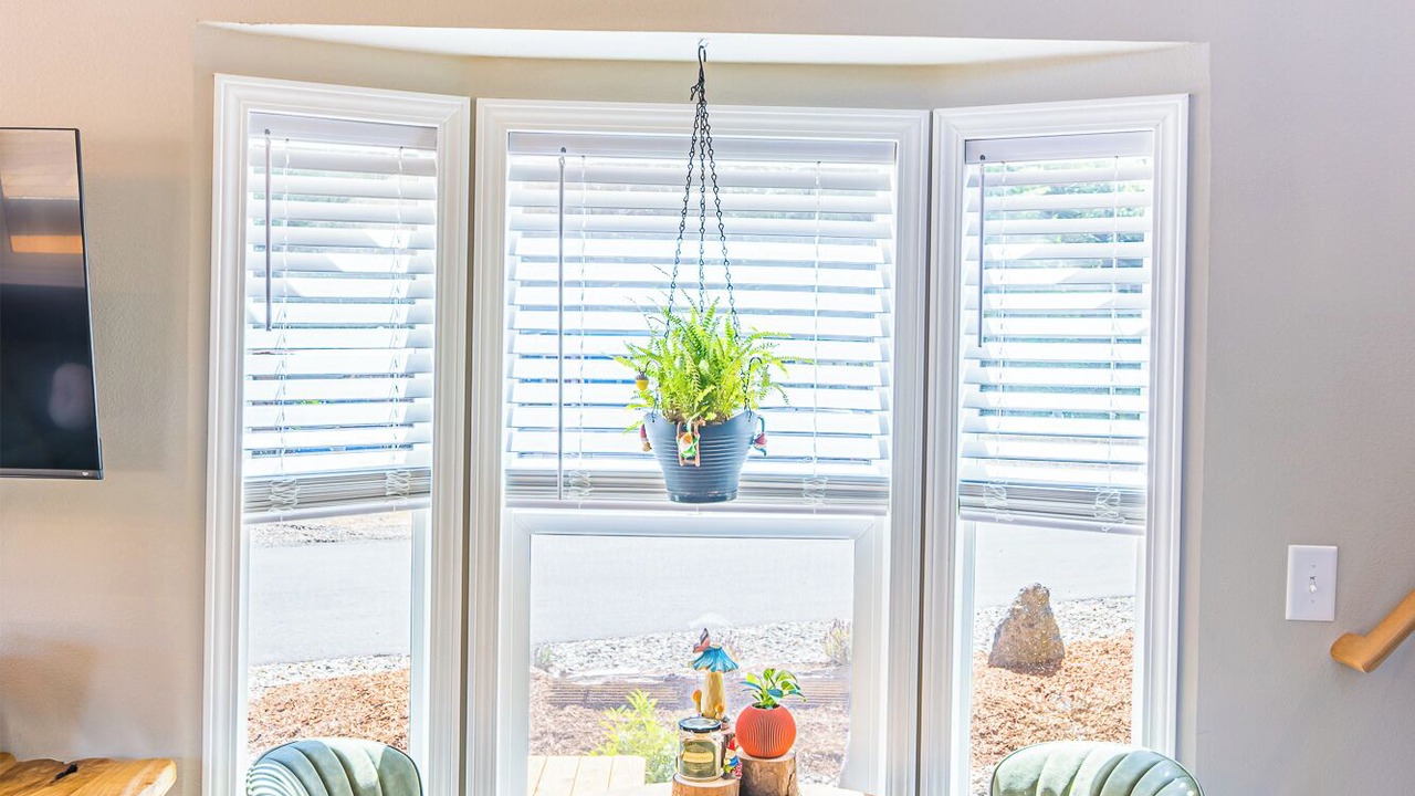 Photo of Others in Forks