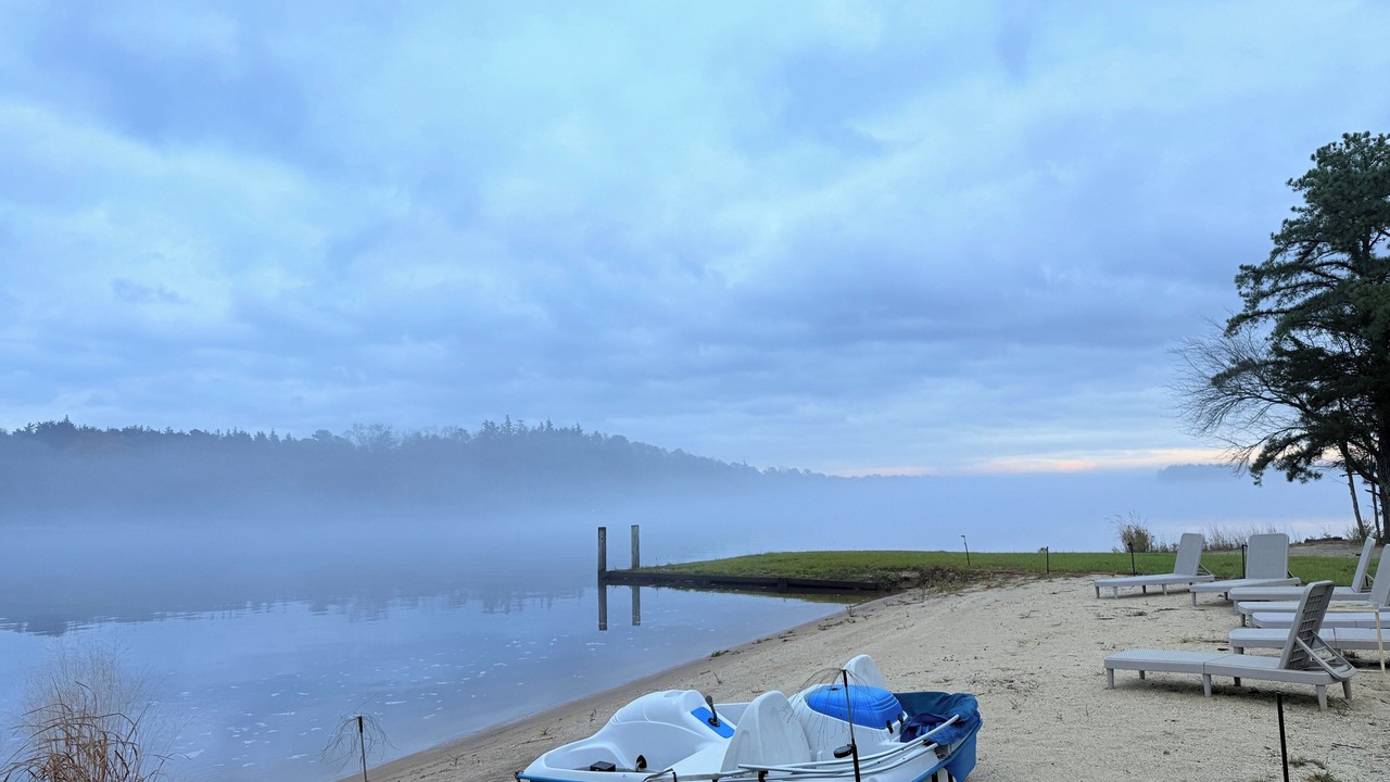 Photo of Others in Elwood