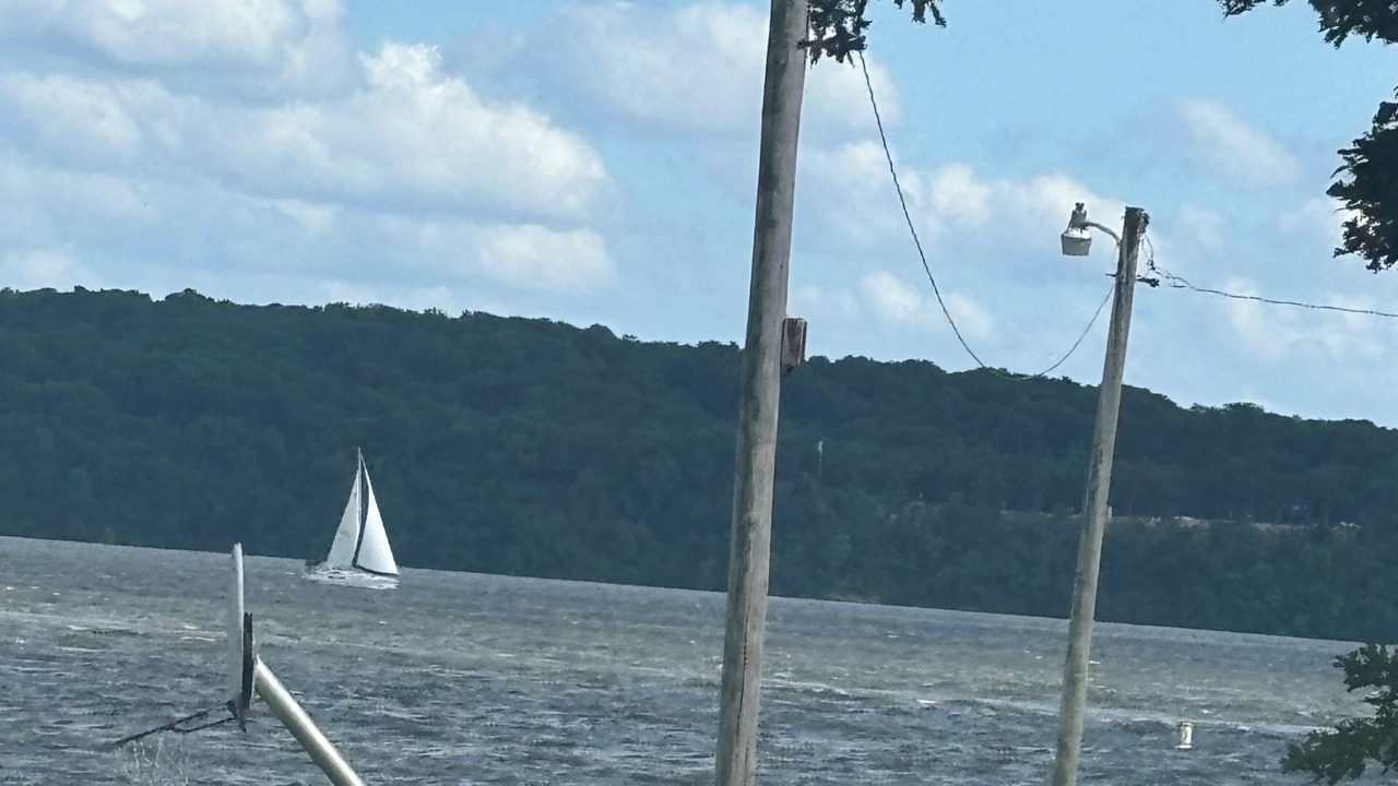 Photo of Others in Cleora