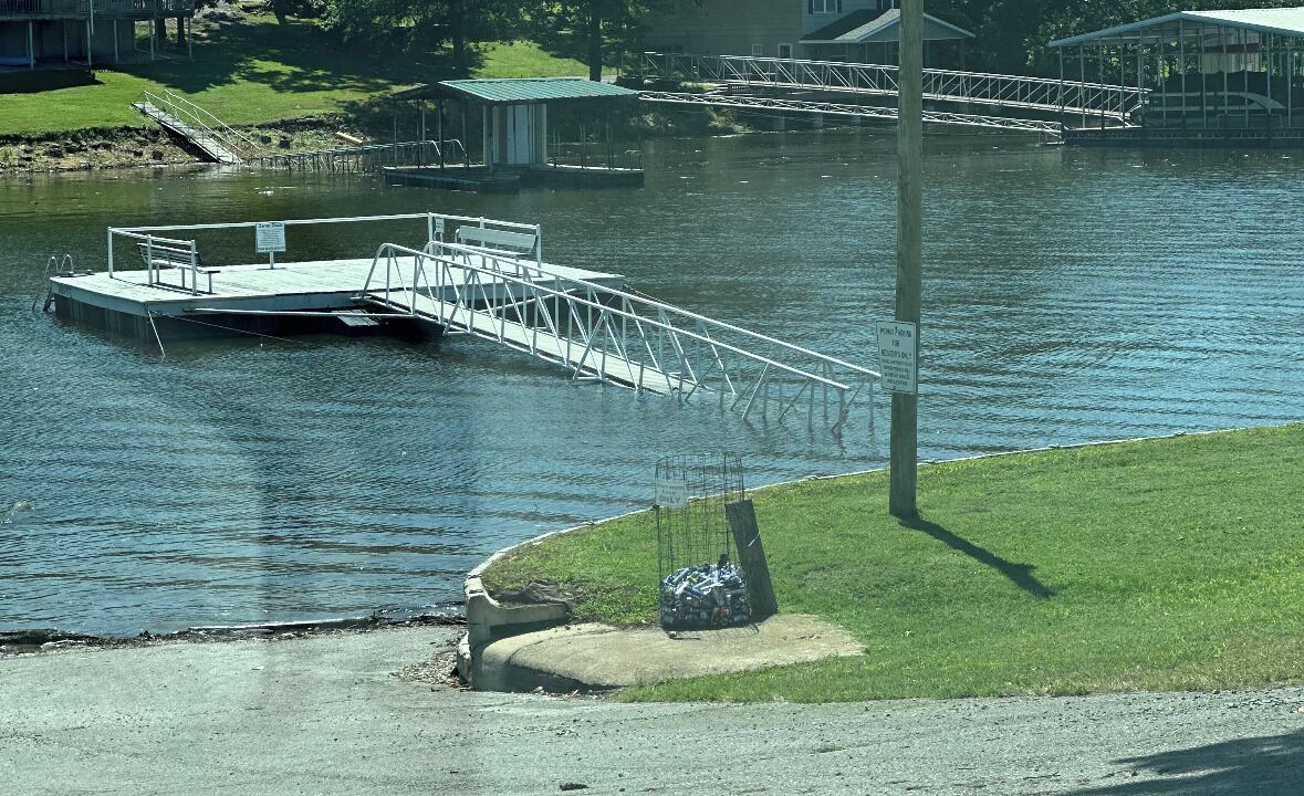 Photo of Others in Cleora