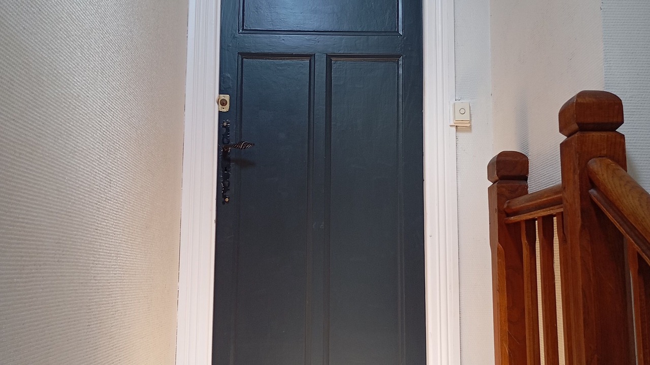 Photo of Others in Tulle