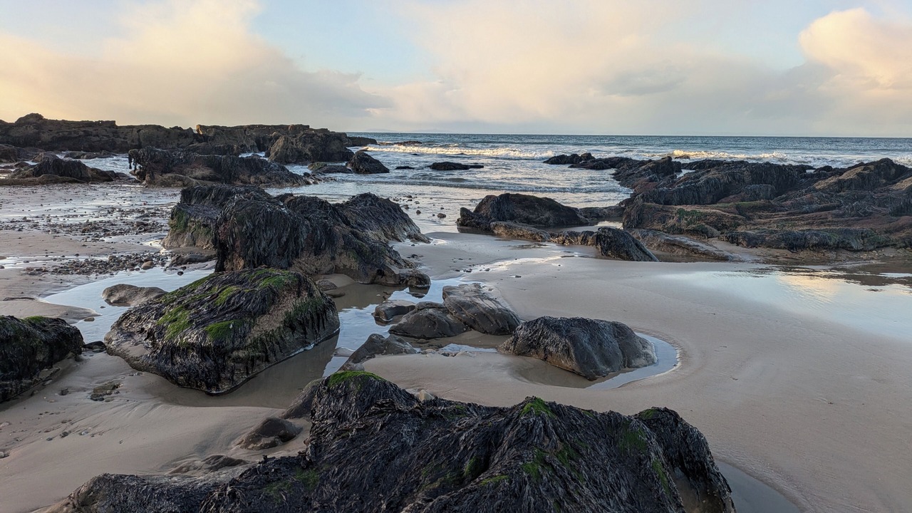Photo of Others in Lossiemouth
