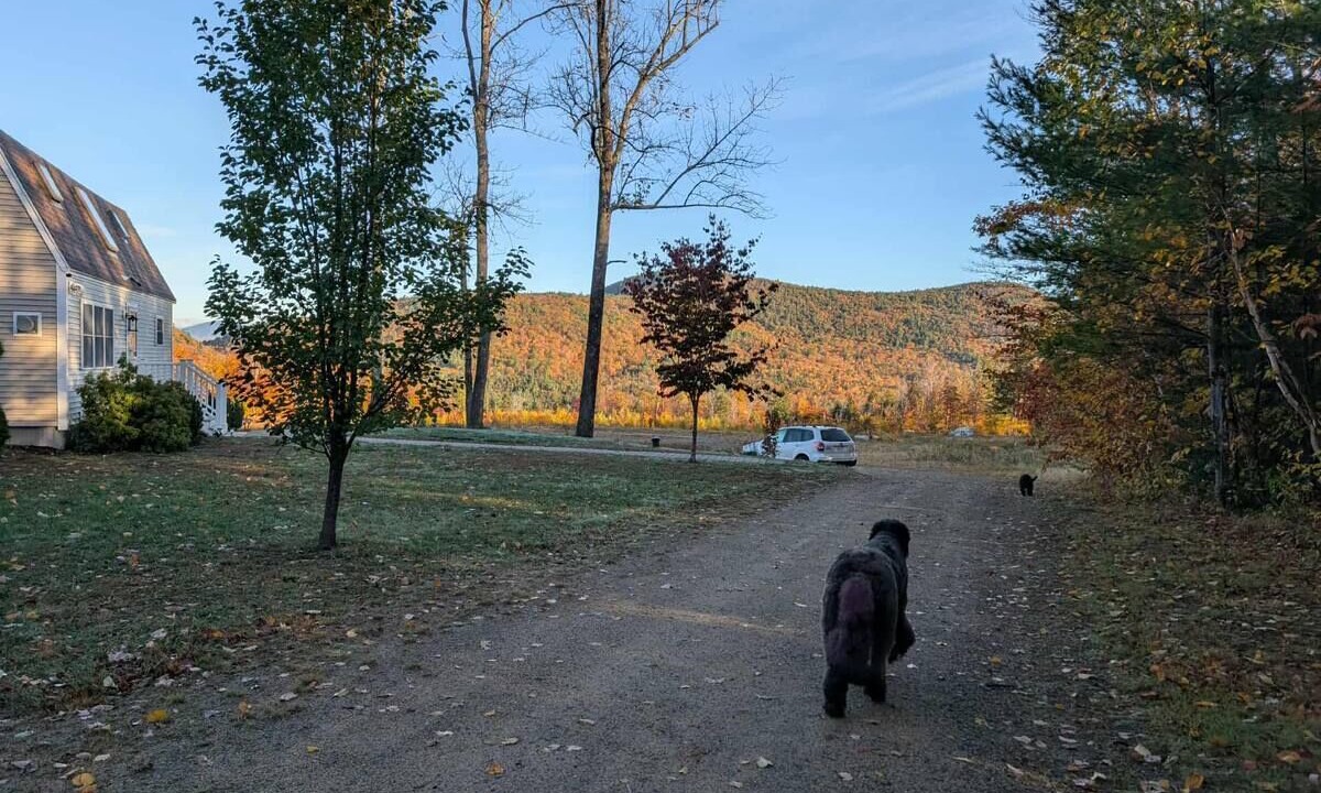 Photo of Outdoor in Center Ossipee
