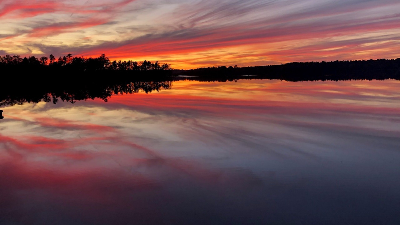 Photo of Others in Belmont