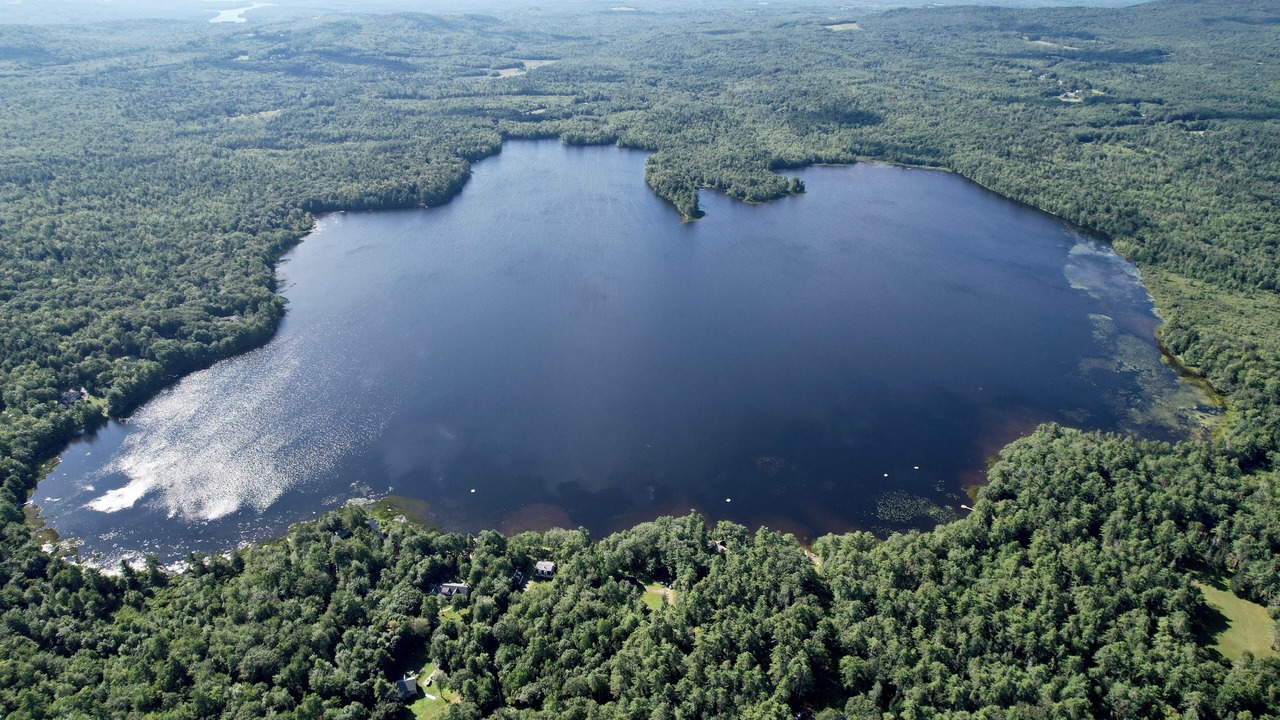 Photo of Outdoor in Belmont