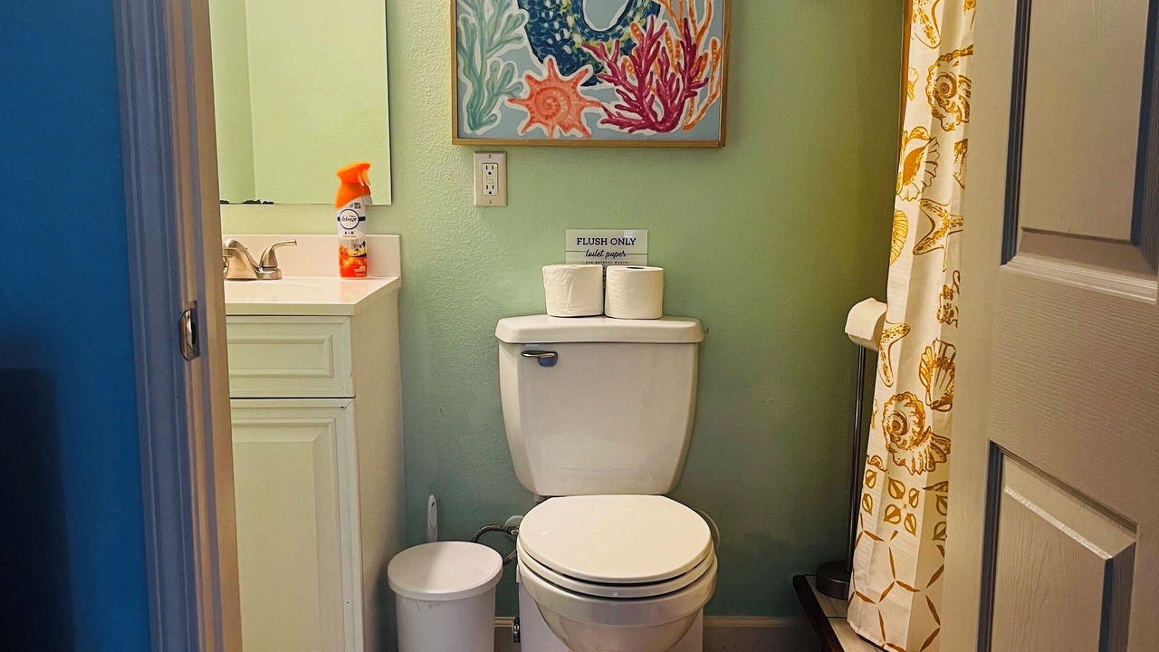 Photo of Bathroom in Dauphin Island