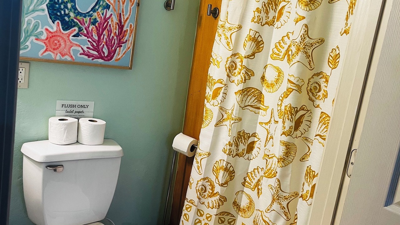 Photo of Bathroom in Dauphin Island