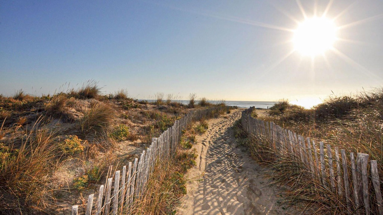 Photo of Others in Les Hauts de Canet