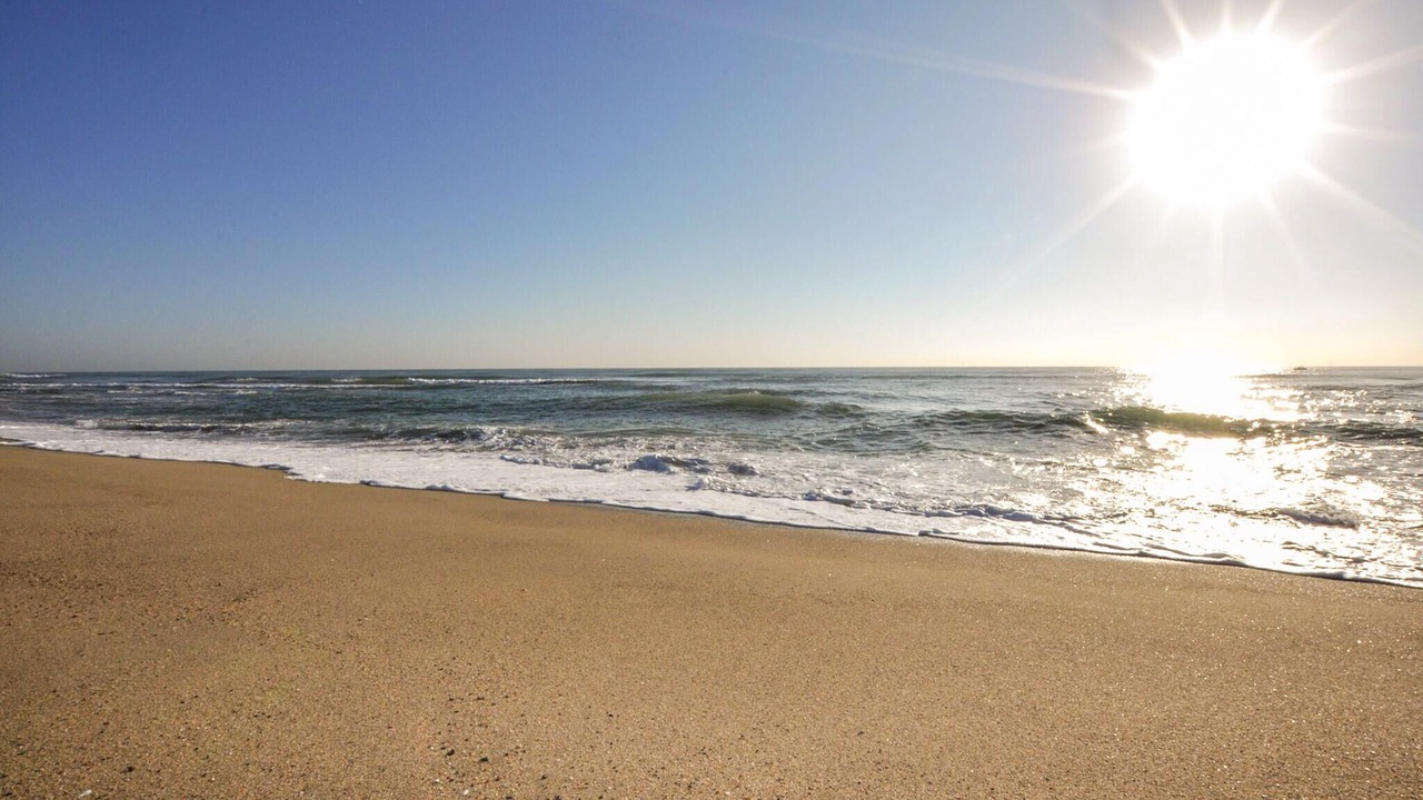 Photo of Others in Les Hauts de Canet