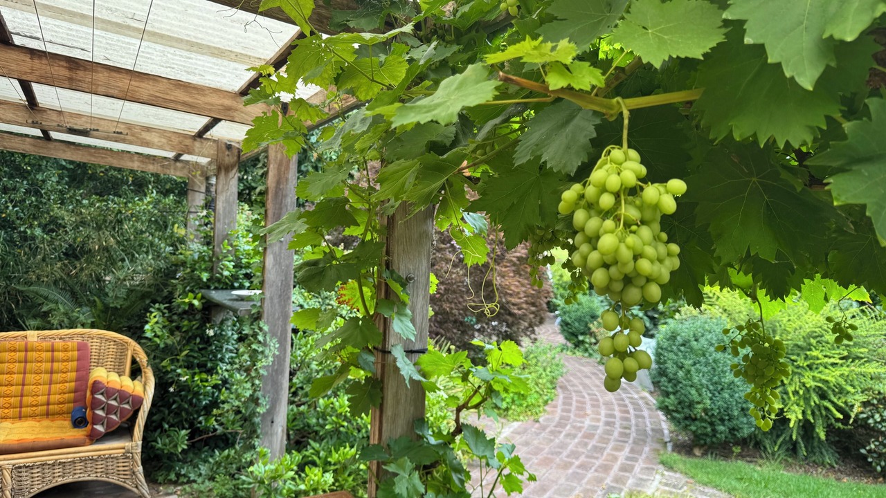 Photo of Patio Balcony in Oakey Park