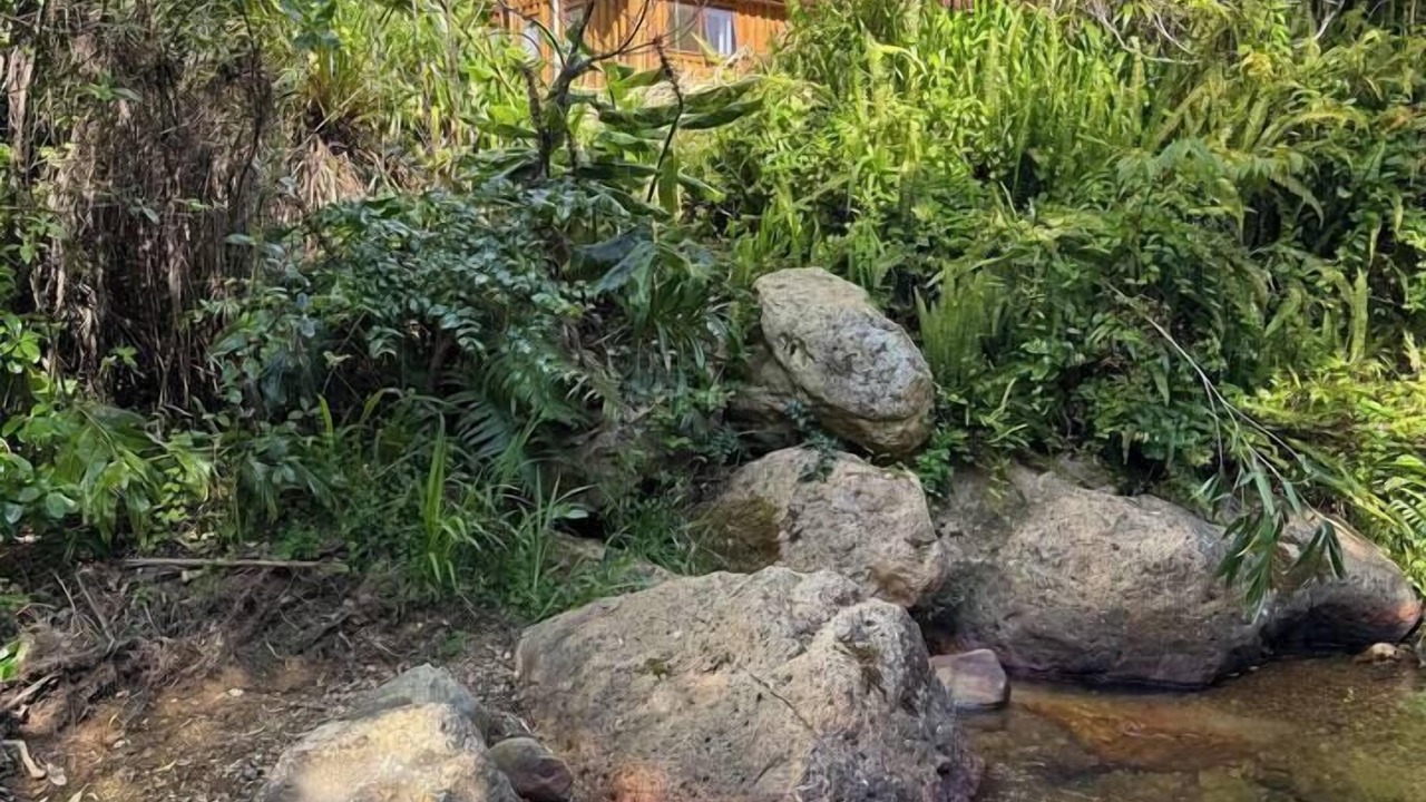 Photo of Others in Coromandel