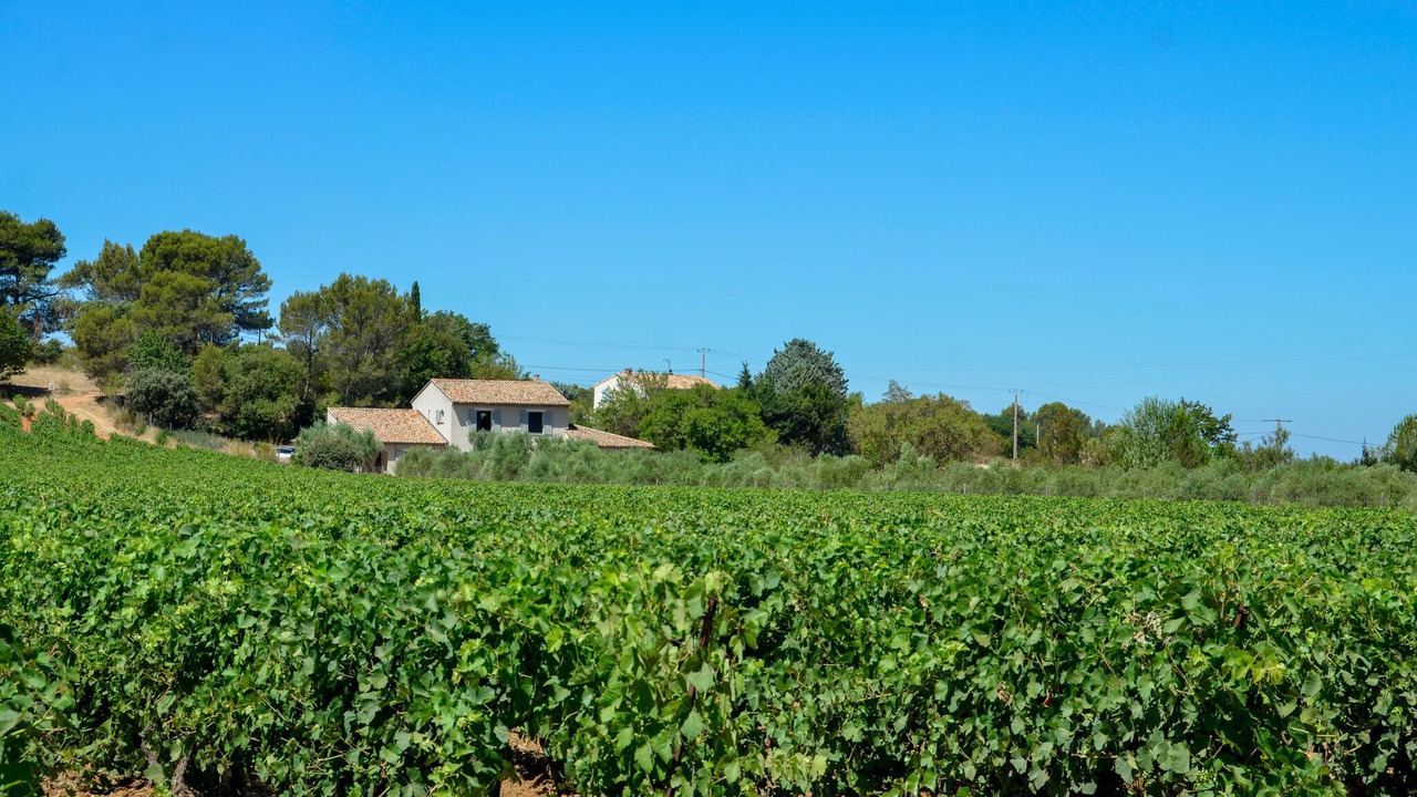 Photo of Others in Venelles